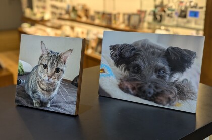 【写真飾る　笑顔増える　みんなハッピー♪】～PDAYデコールで写真を飾ろう～