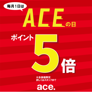 ❄毎月1日はACEの日❄