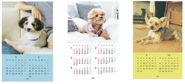 【愛犬・愛猫との思い出をカタチにしませんか】写真入りカレンダー作れます♡