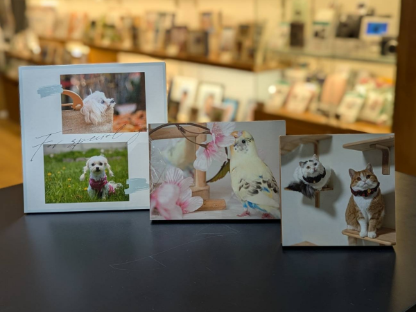 【かわいく撮れたら飾りたい！】PDAYデコールで写真を飾ろう！